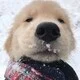 SamsBlog